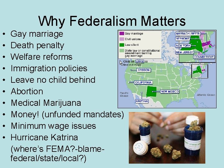 Why Federalism Matters • • • Gay marriage Death penalty Welfare reforms Immigration policies