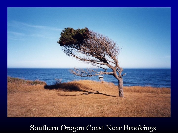 Southern Oregon Coast Near Brookings 