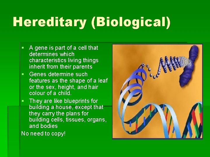 Hereditary (Biological) § A gene is part of a cell that determines which characteristics