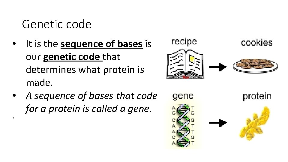 Genetic code • It is the sequence of bases is our genetic code that