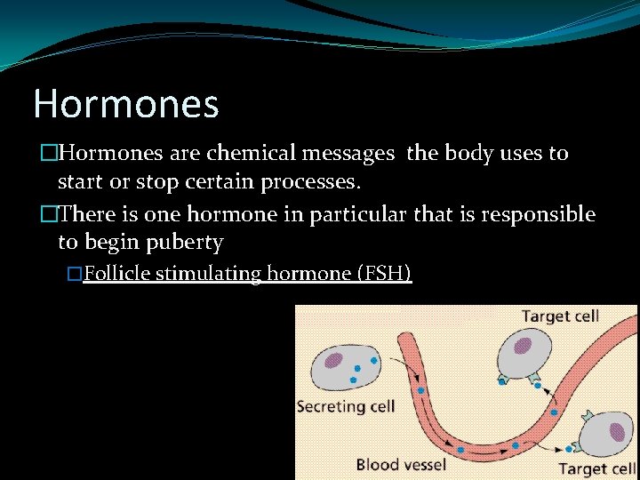Hormones �Hormones are chemical messages the body uses to start or stop certain processes.
