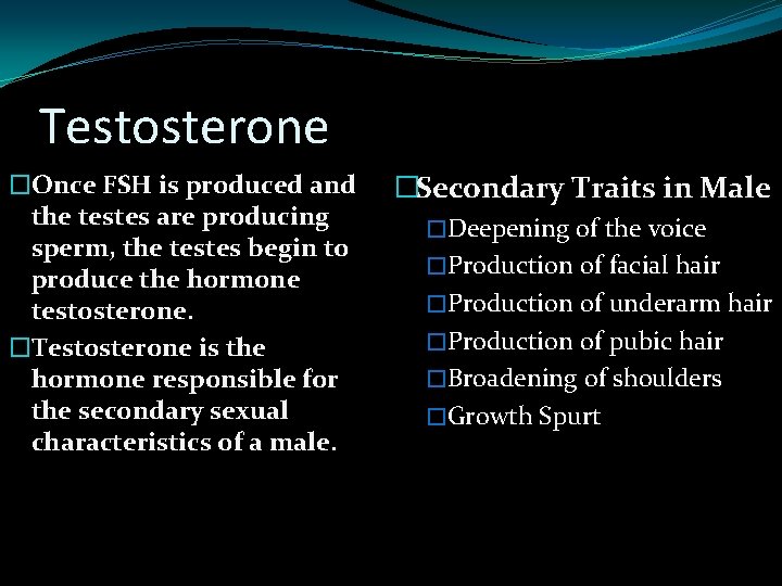Testosterone �Once FSH is produced and the testes are producing sperm, the testes begin