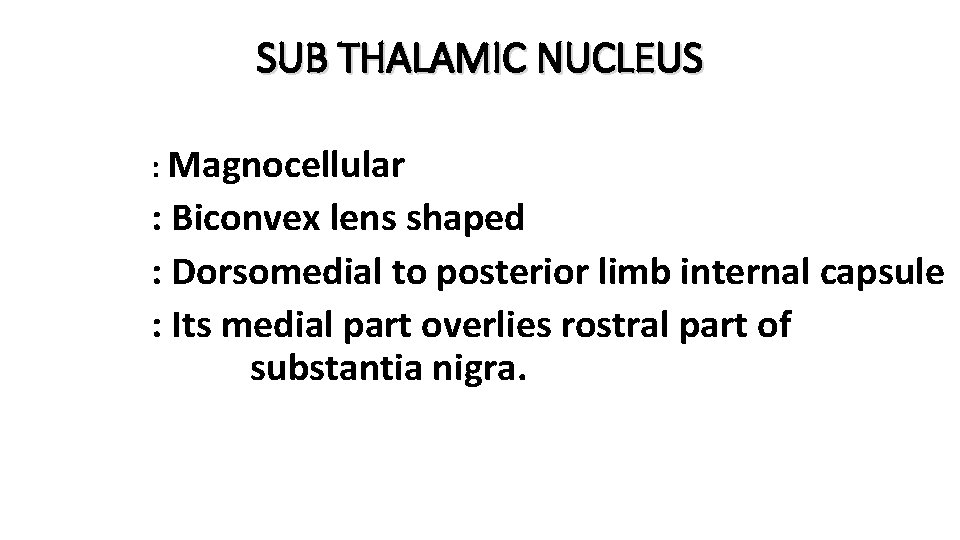 SUB THALAMIC NUCLEUS : Magnocellular : Biconvex lens shaped : Dorsomedial to posterior limb