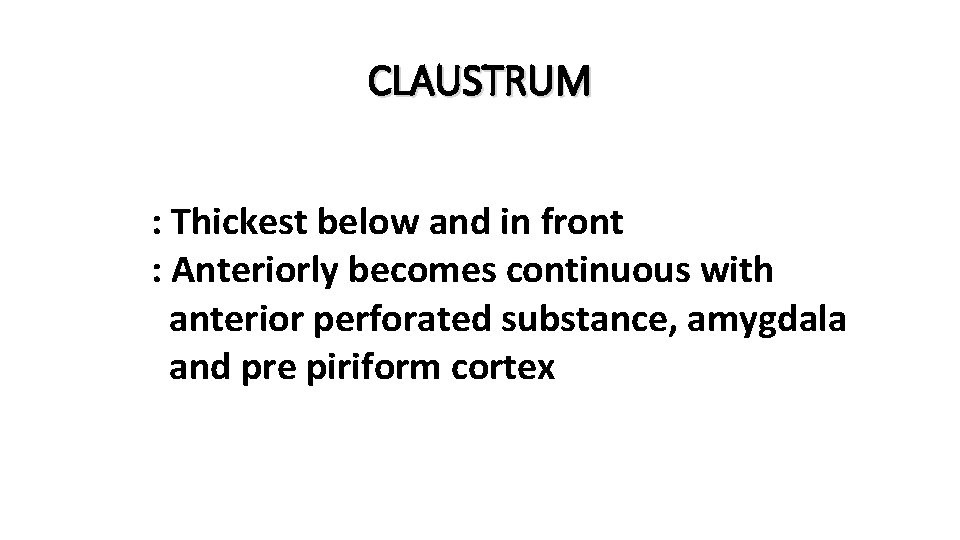 CLAUSTRUM : Thickest below and in front : Anteriorly becomes continuous with anterior perforated