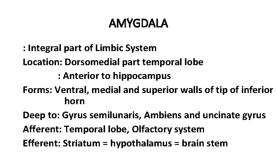 AMYGDALA : Integral part of Limbic System Location: Dorsomedial part temporal lobe : Anterior