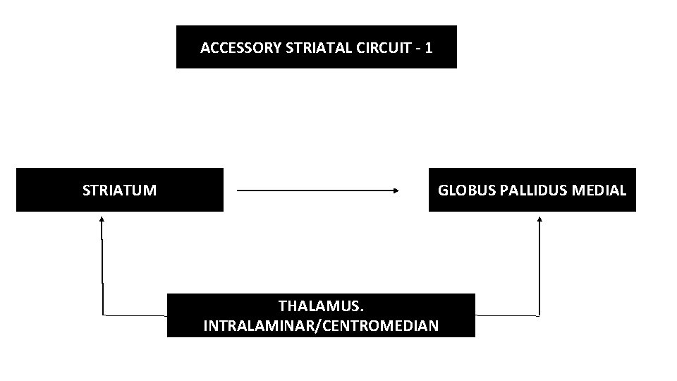 ACCESSORY STRIATAL CIRCUIT - 1 STRIATUM GLOBUS PALLIDUS MEDIAL THALAMUS. INTRALAMINAR/CENTROMEDIAN 