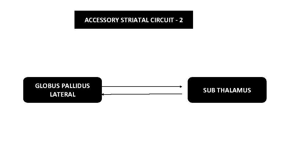 ACCESSORY STRIATAL CIRCUIT - 2 GLOBUS PALLIDUS LATERAL SUB THALAMUS 