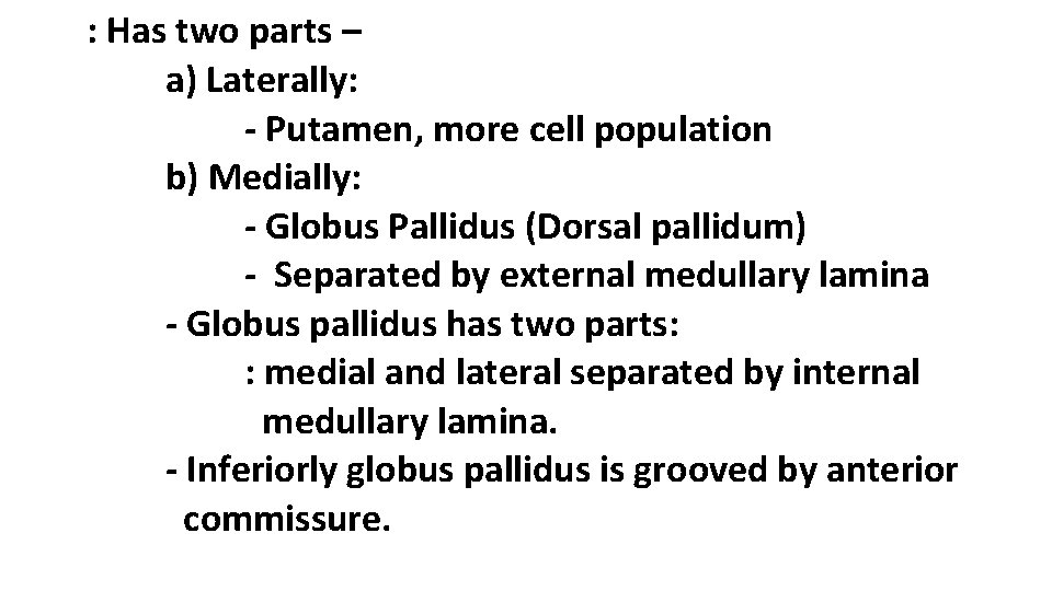 : Has two parts – a) Laterally: - Putamen, more cell population b) Medially: