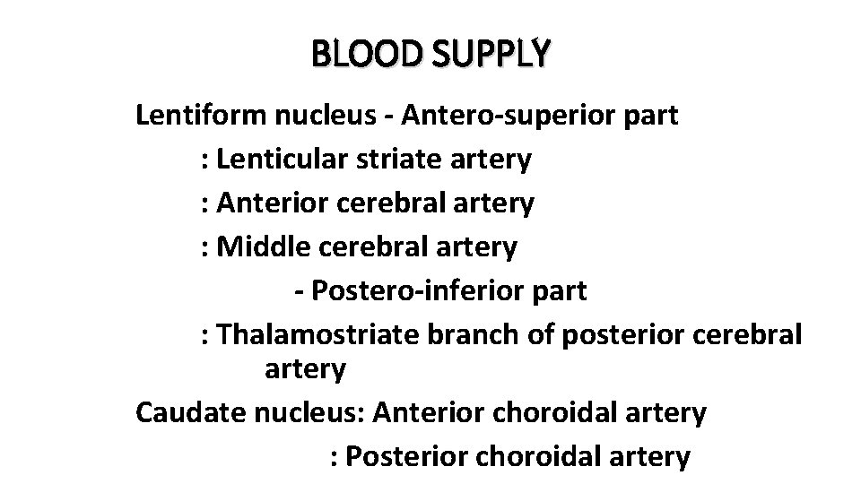 BLOOD SUPPLY Lentiform nucleus - Antero-superior part : Lenticular striate artery : Anterior cerebral