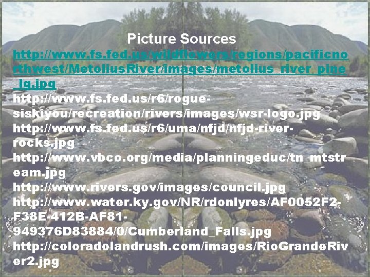 Picture Sources http: //www. fs. fed. us/wildflowers/regions/pacificno rthwest/Metolius. River/images/metolius_river_pine _lg. jpg http: //www. fs.