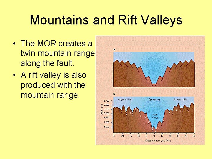 Mountains and Rift Valleys • The MOR creates a twin mountain range along the