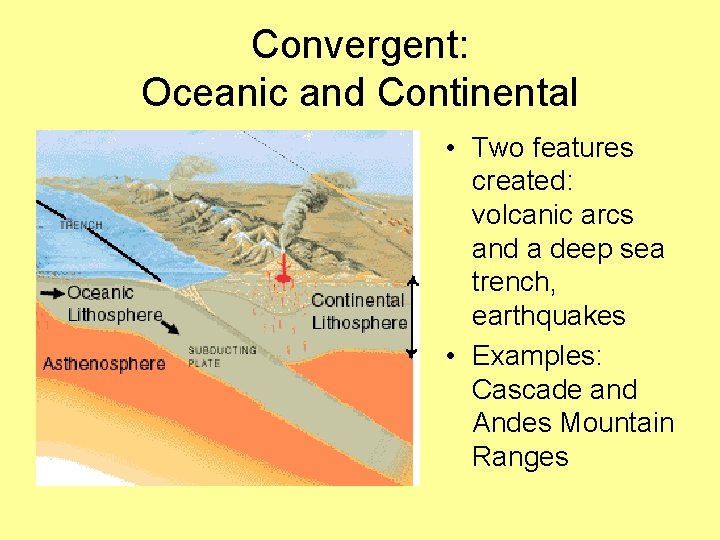 Convergent: Oceanic and Continental • Two features created: volcanic arcs and a deep sea