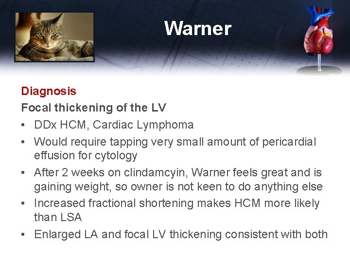 Warner Diagnosis Focal thickening of the LV • DDx HCM, Cardiac Lymphoma • Would