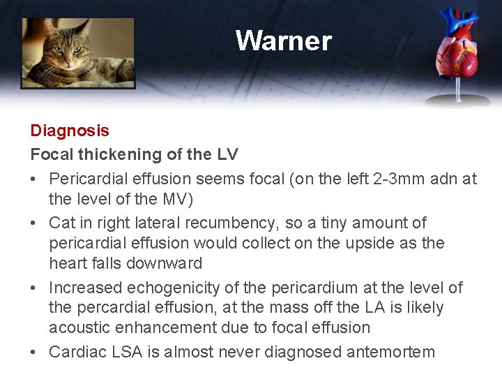 Warner Diagnosis Focal thickening of the LV • Pericardial effusion seems focal (on the