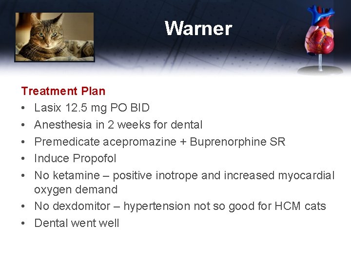 Warner Treatment Plan • Lasix 12. 5 mg PO BID • Anesthesia in 2
