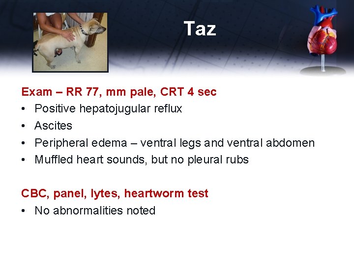 Taz Exam – RR 77, mm pale, CRT 4 sec • Positive hepatojugular reflux