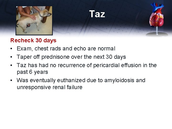 Taz Recheck 30 days • Exam, chest rads and echo are normal • Taper