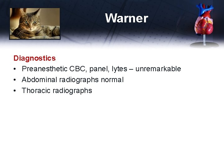 Warner Diagnostics • Preanesthetic CBC, panel, lytes – unremarkable • Abdominal radiographs normal •