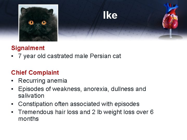 Ike Signalment • 7 year old castrated male Persian cat Chief Complaint • Recurring