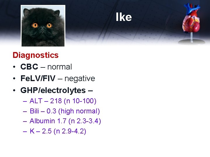 Ike Diagnostics • CBC – normal • Fe. LV/FIV – negative • GHP/electrolytes –