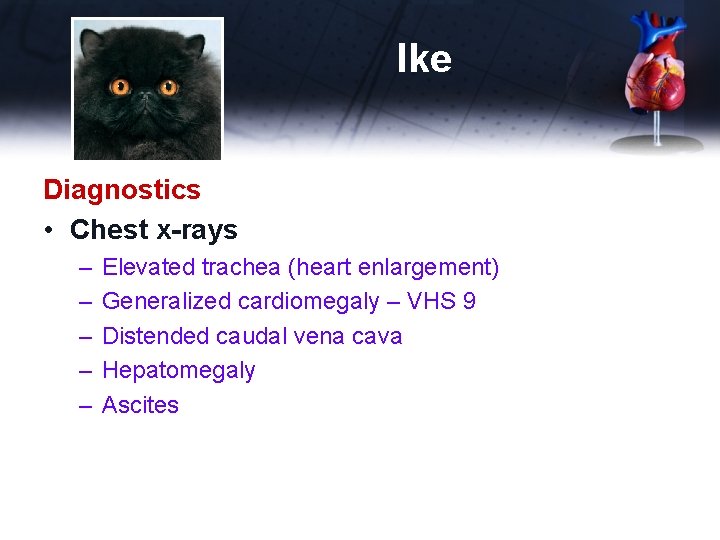 Ike Diagnostics • Chest x-rays – – – Elevated trachea (heart enlargement) Generalized cardiomegaly