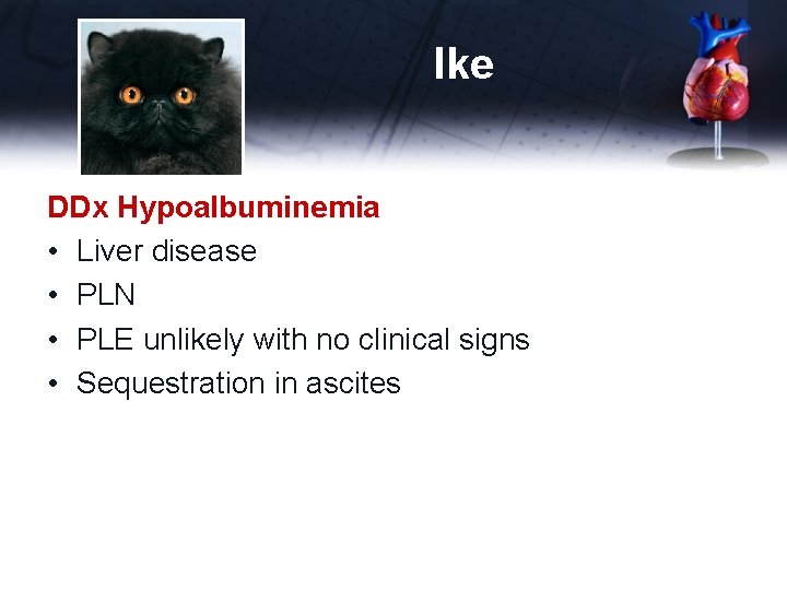 Ike DDx Hypoalbuminemia • Liver disease • PLN • PLE unlikely with no clinical