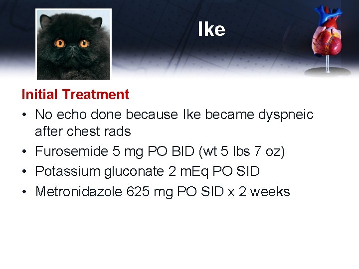 Ike Initial Treatment • No echo done because Ike became dyspneic after chest rads