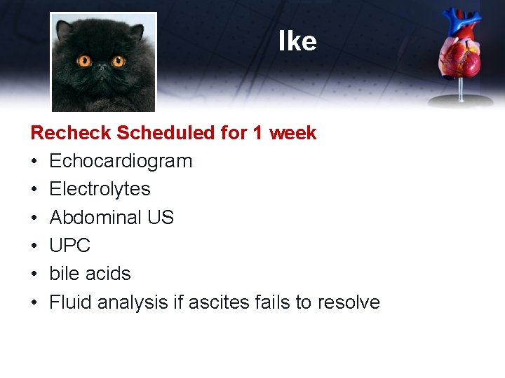 Ike Recheck Scheduled for 1 week • Echocardiogram • Electrolytes • Abdominal US •