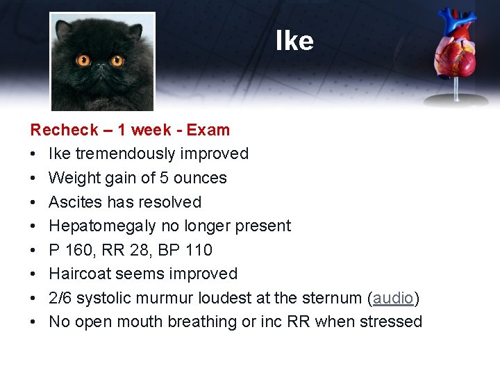 Ike Recheck – 1 week - Exam • Ike tremendously improved • Weight gain