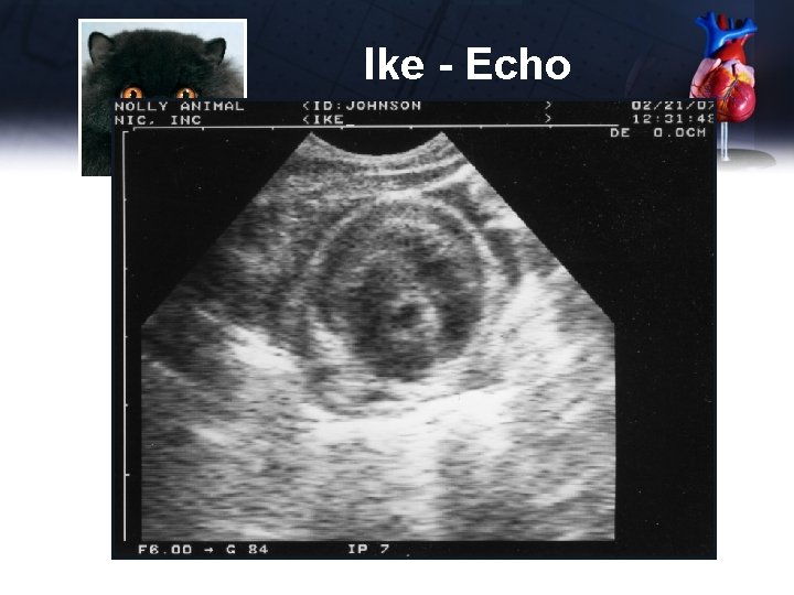 Ike - Echo 