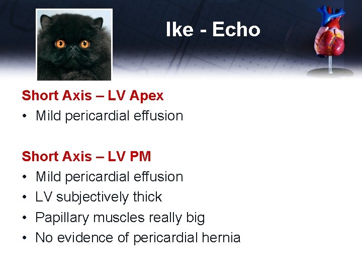 Ike - Echo Short Axis – LV Apex • Mild pericardial effusion Short Axis