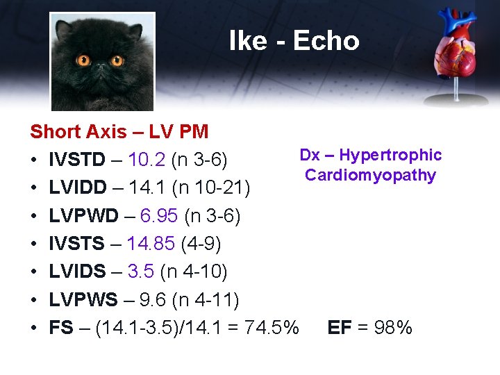 Ike - Echo Short Axis – LV PM Dx – Hypertrophic • IVSTD –