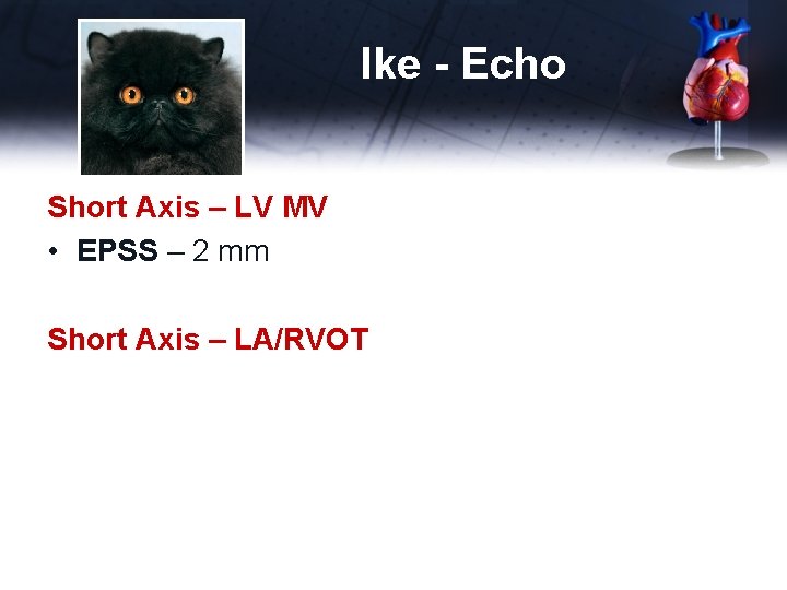 Ike - Echo Short Axis – LV MV • EPSS – 2 mm Short