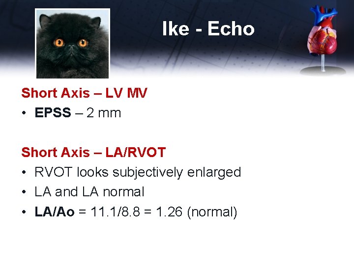 Ike - Echo Short Axis – LV MV • EPSS – 2 mm Short