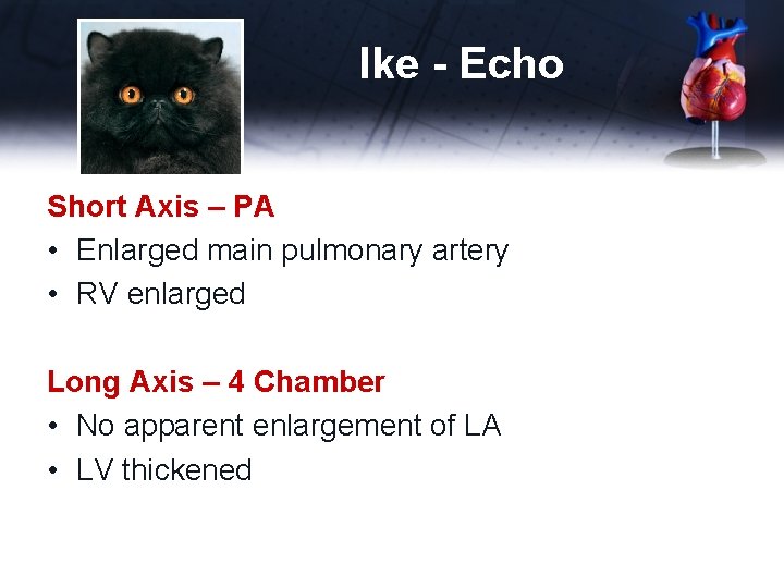 Ike - Echo Short Axis – PA • Enlarged main pulmonary artery • RV