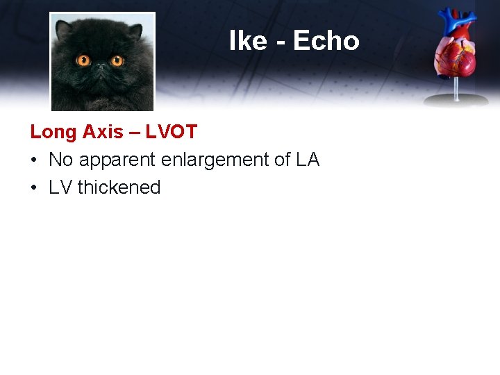 Ike - Echo Long Axis – LVOT • No apparent enlargement of LA •