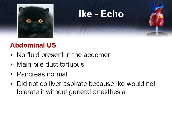 Ike - Echo Abdominal US • No fluid present in the abdomen • Main