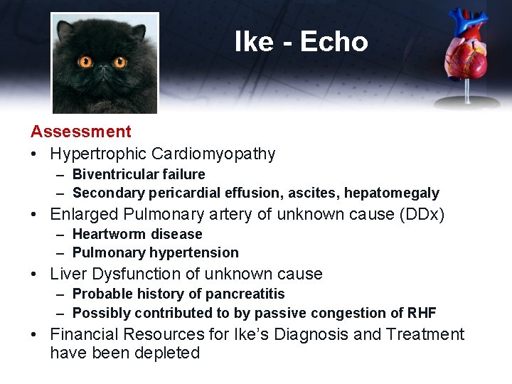 Ike - Echo Assessment • Hypertrophic Cardiomyopathy – Biventricular failure – Secondary pericardial effusion,