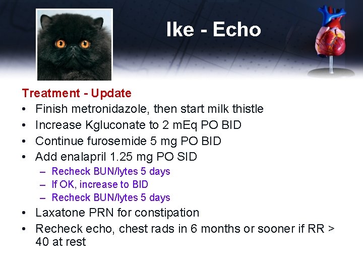 Ike - Echo Treatment - Update • Finish metronidazole, then start milk thistle •