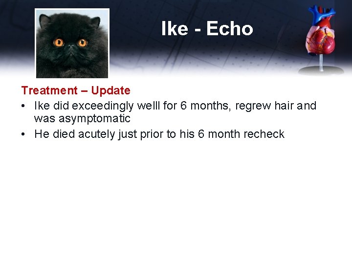 Ike - Echo Treatment – Update • Ike did exceedingly welll for 6 months,