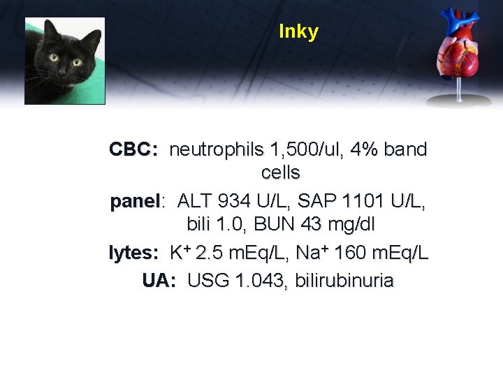 Inky CBC: neutrophils 1, 500/ul, 4% band cells panel: ALT 934 U/L, SAP 1101