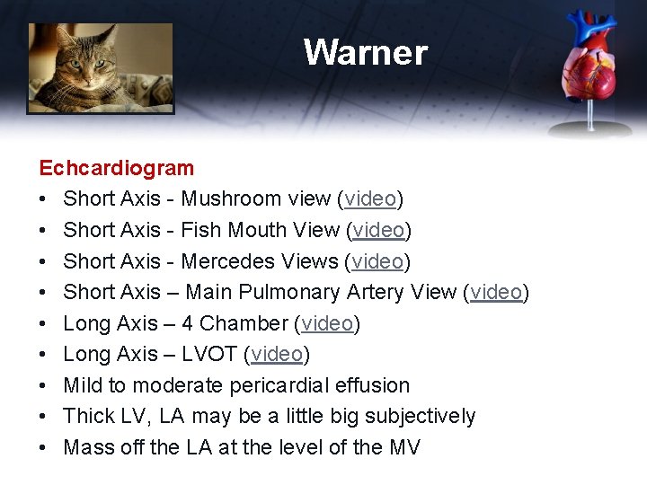 Warner Echcardiogram • Short Axis - Mushroom view (video) • Short Axis - Fish