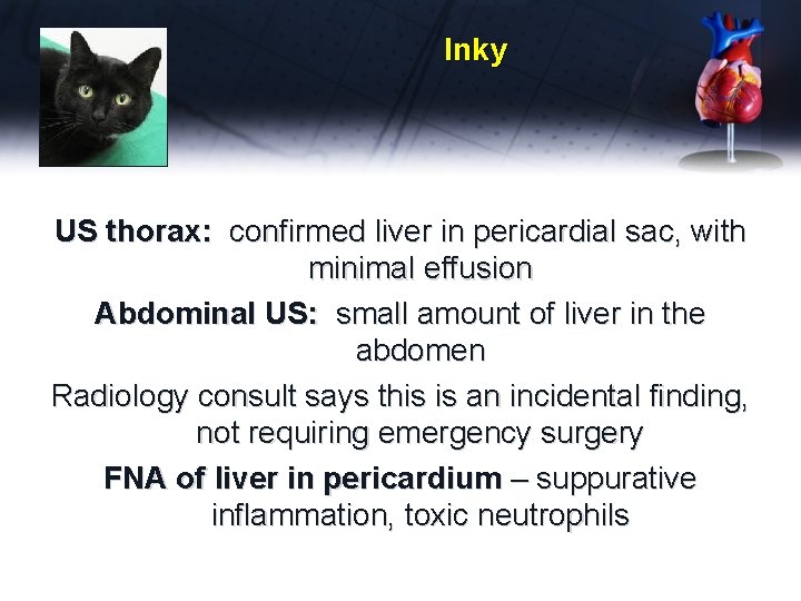 Inky US thorax: confirmed liver in pericardial sac, with minimal effusion Abdominal US: small
