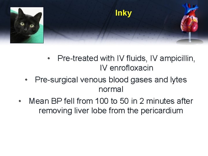 Inky • Pre-treated with IV fluids, IV ampicillin, IV enrofloxacin • Pre-surgical venous blood