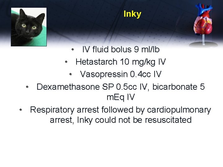 Inky • IV fluid bolus 9 ml/lb • Hetastarch 10 mg/kg IV • Vasopressin