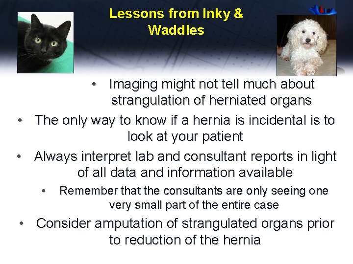 Lessons from Inky & Waddles • Imaging might not tell much about strangulation of