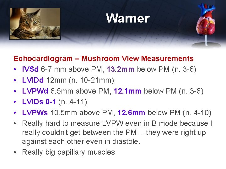 Warner Echocardiogram – Mushroom View Measurements • IVSd 6 -7 mm above PM, 13.