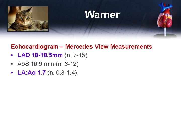 Warner Echocardiogram – Mercedes View Measurements • LAD 18 -18. 5 mm (n. 7