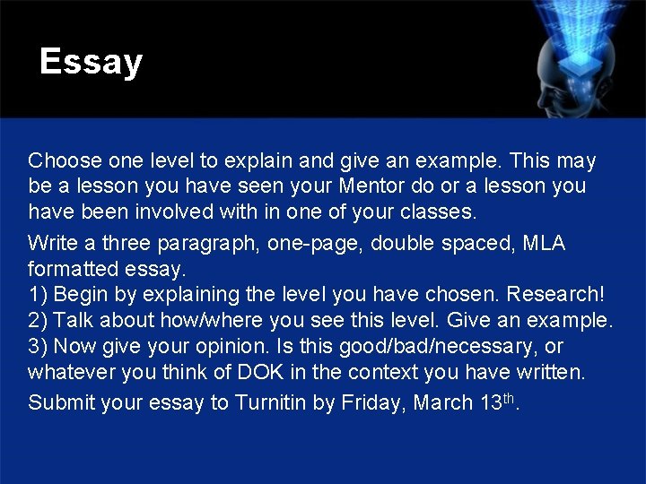Essay Choose one level to explain and give an example. This may be a