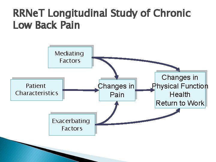 RRNe. T Longitudinal Study of Chronic Low Back Pain Mediating Factors Patient Characteristics Exacerbating